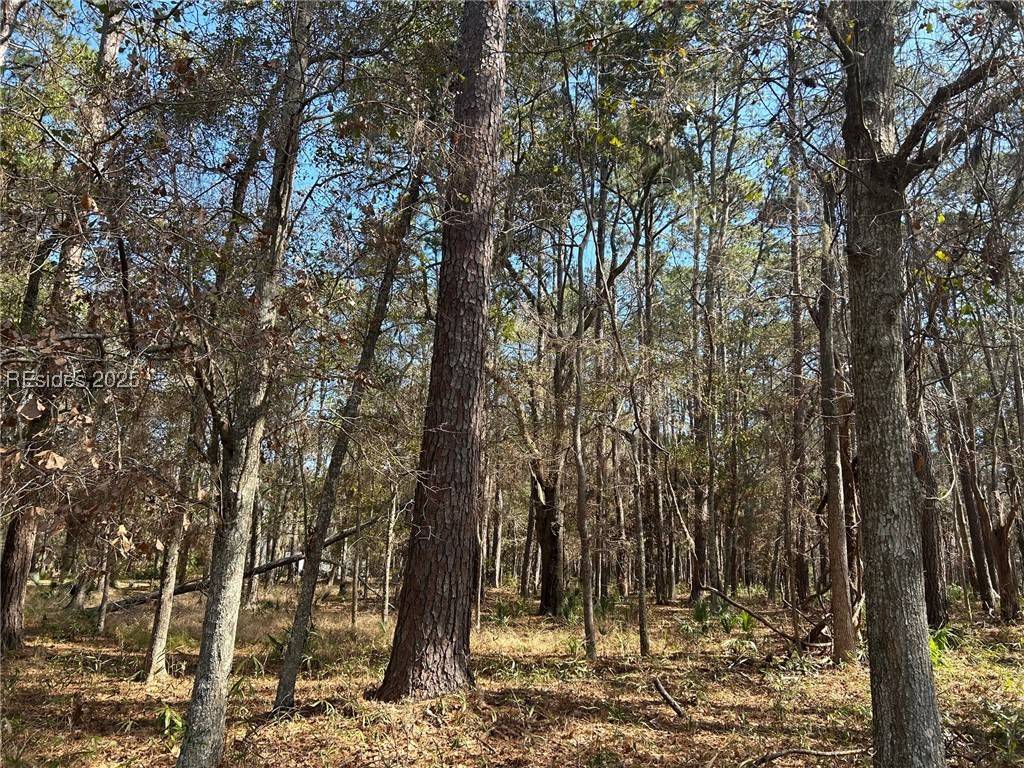 Daufuskie Island, SC 29915,14 Captain Monroe LN