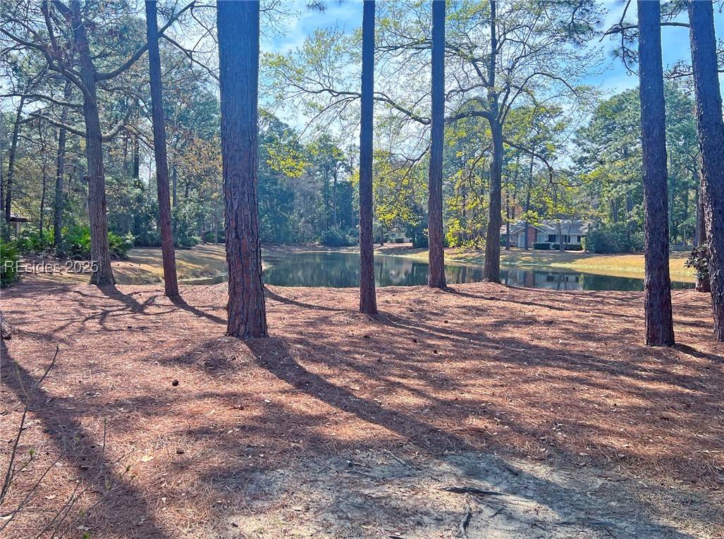 Hilton Head Island, SC 29926,26 Pheasant Run