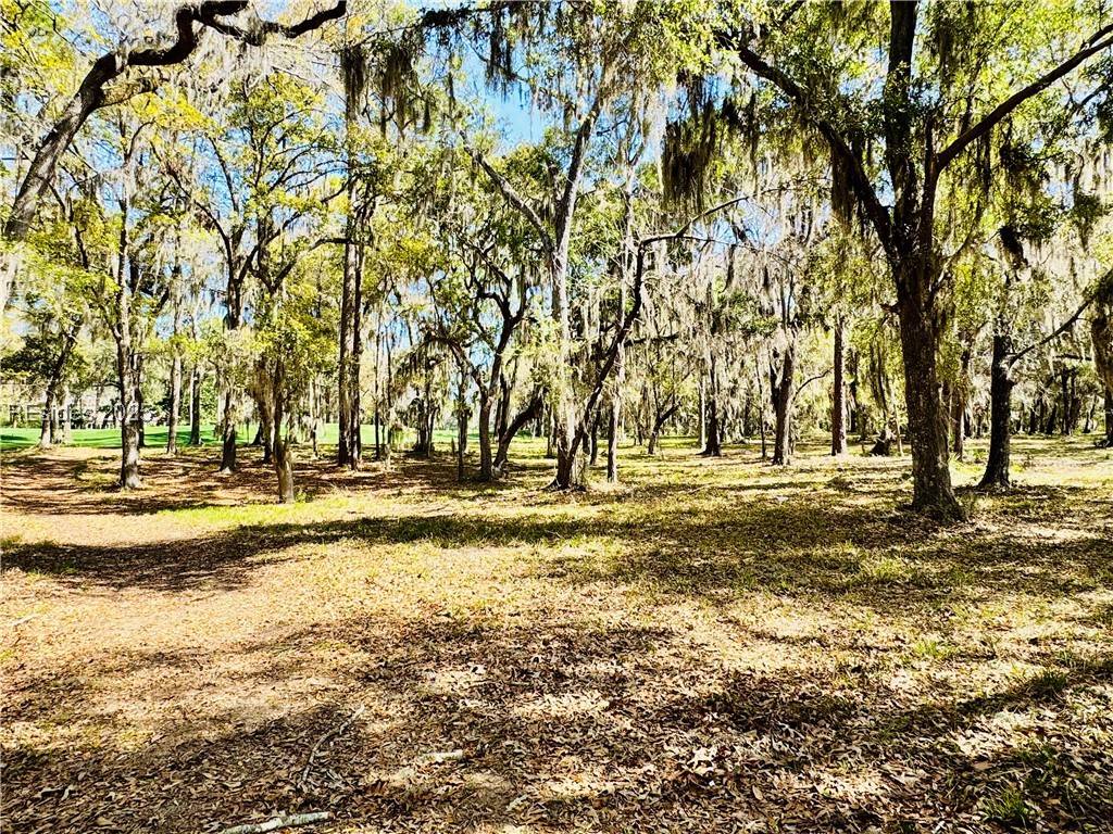Daufuskie Island, SC 29915,60 Forest Lake DR