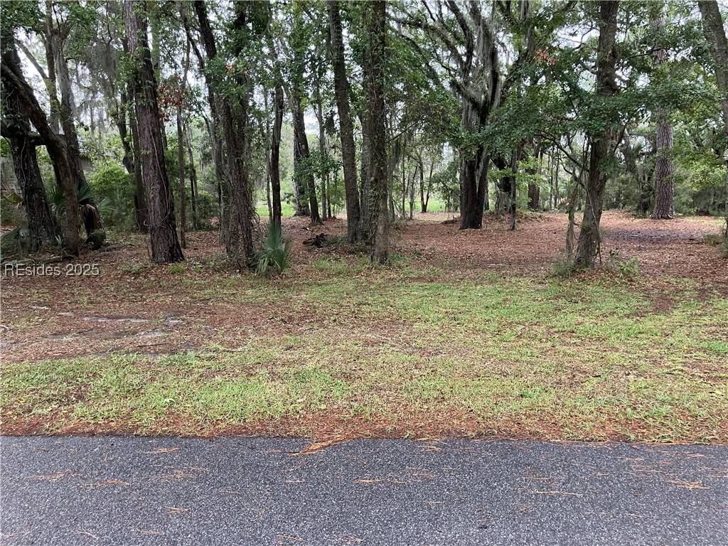 Hilton Head Island, SC 29926,62 Bear Creek DR