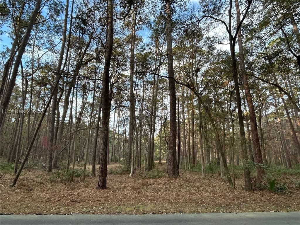 Daufuskie Island, SC 29915,44 Masters DR