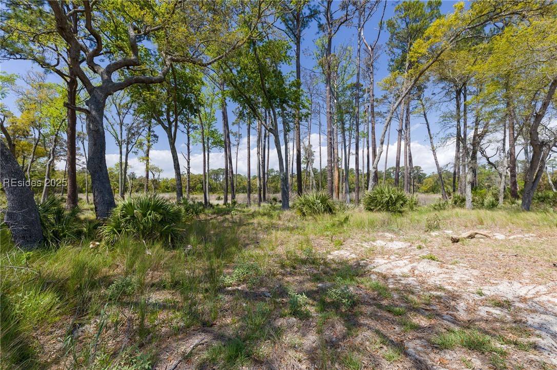 Daufuskie Island, SC 29915,47 Beauregard Blvd