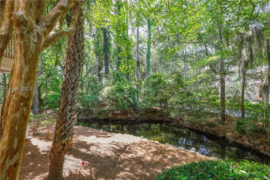 Hilton Head Island, SC 29928,79 Lighthouse RD #2392