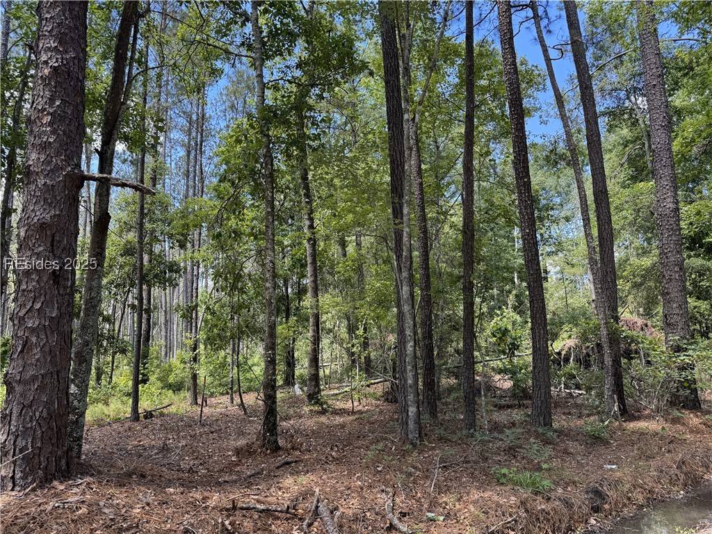 Ridgeland, SC 29936,0 Tillman RD