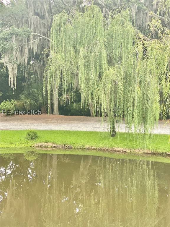 Hilton Head Island, SC 29926,34 Fuller Pointe DR