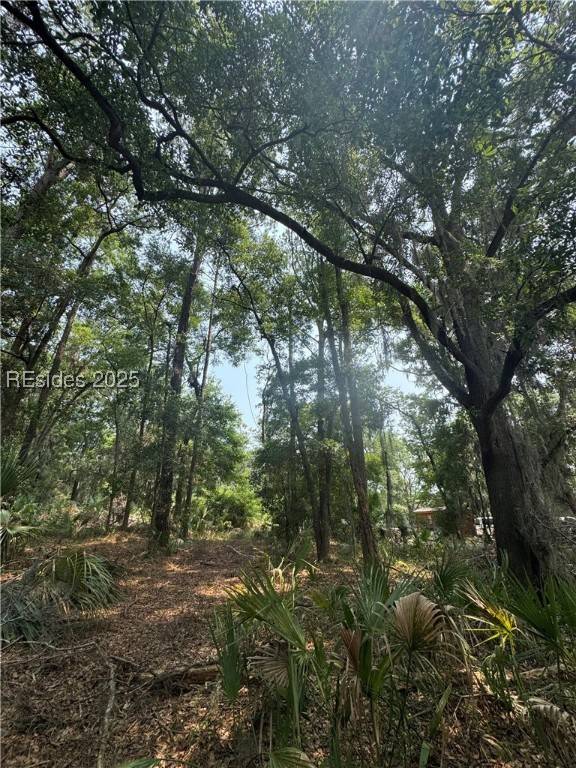 Daufuskie Island, SC 29915,32 Haig Point Rd