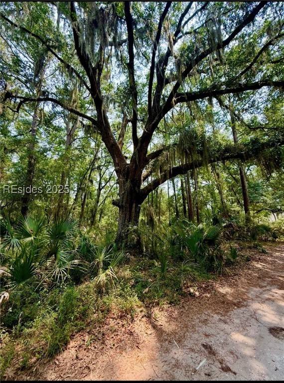 Daufuskie Island, SC 29915,32 Haig Point Rd