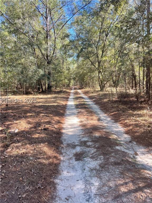 Ridgeland, SC 29936,TBD Stock Farm RD
