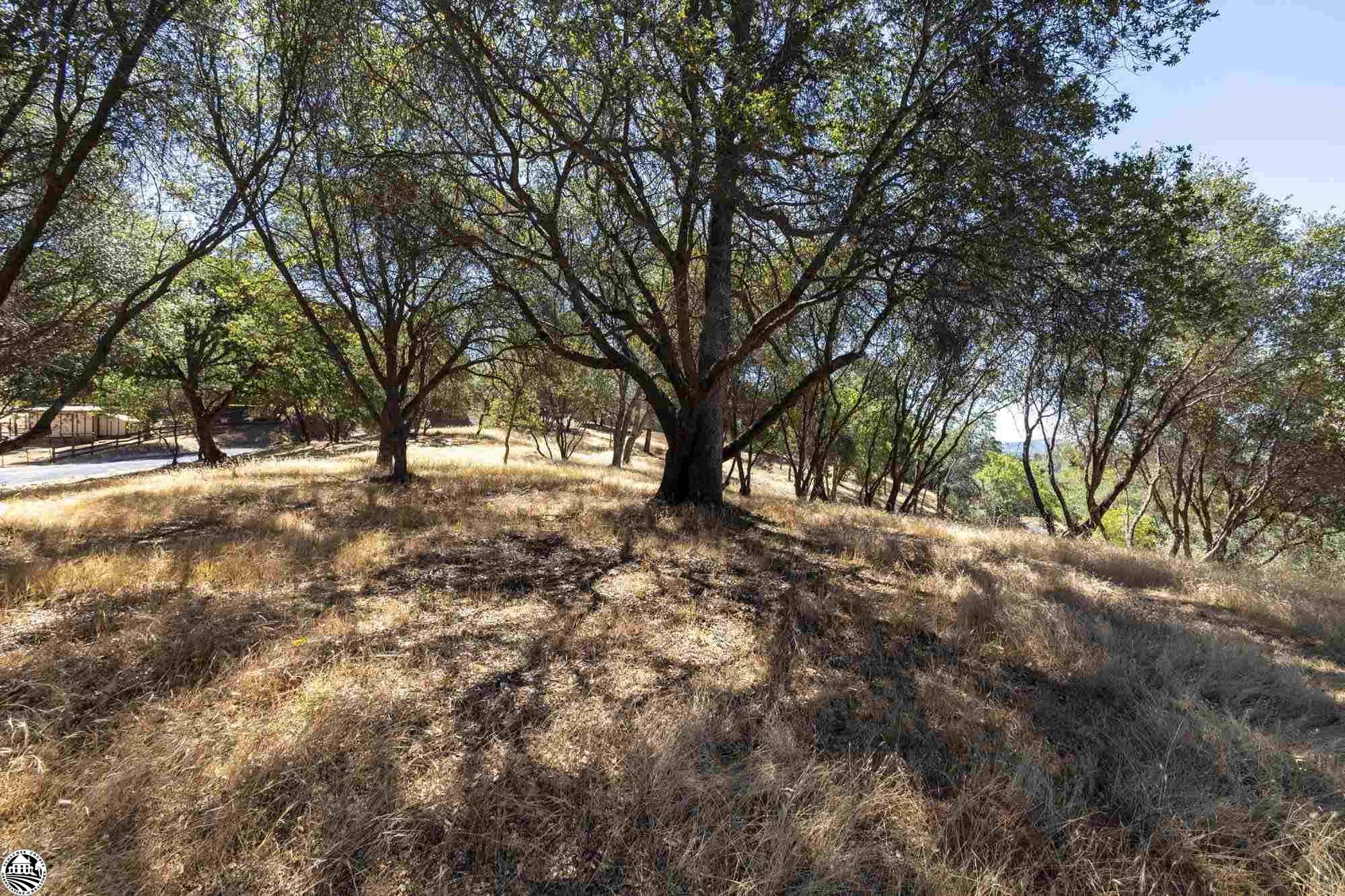 Sonora, CA 95383,1.66 Acres Avenida Bonita N