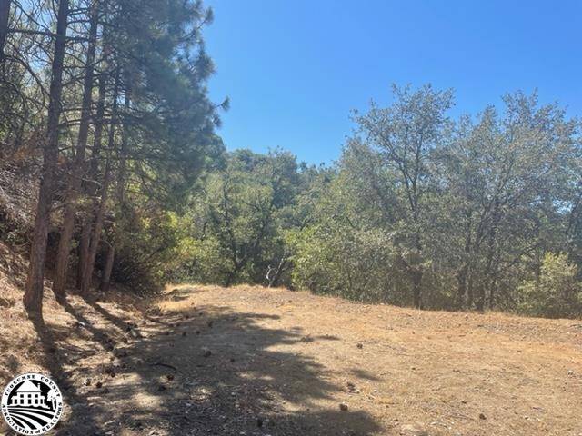 Sonora, CA 95370,22950 Upper Cedarcrest Rd