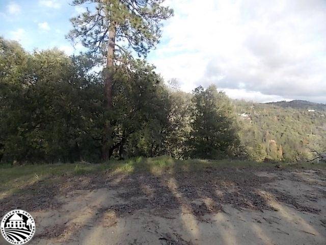 Sonora, CA 95370,16655 Granite Ridge Lane