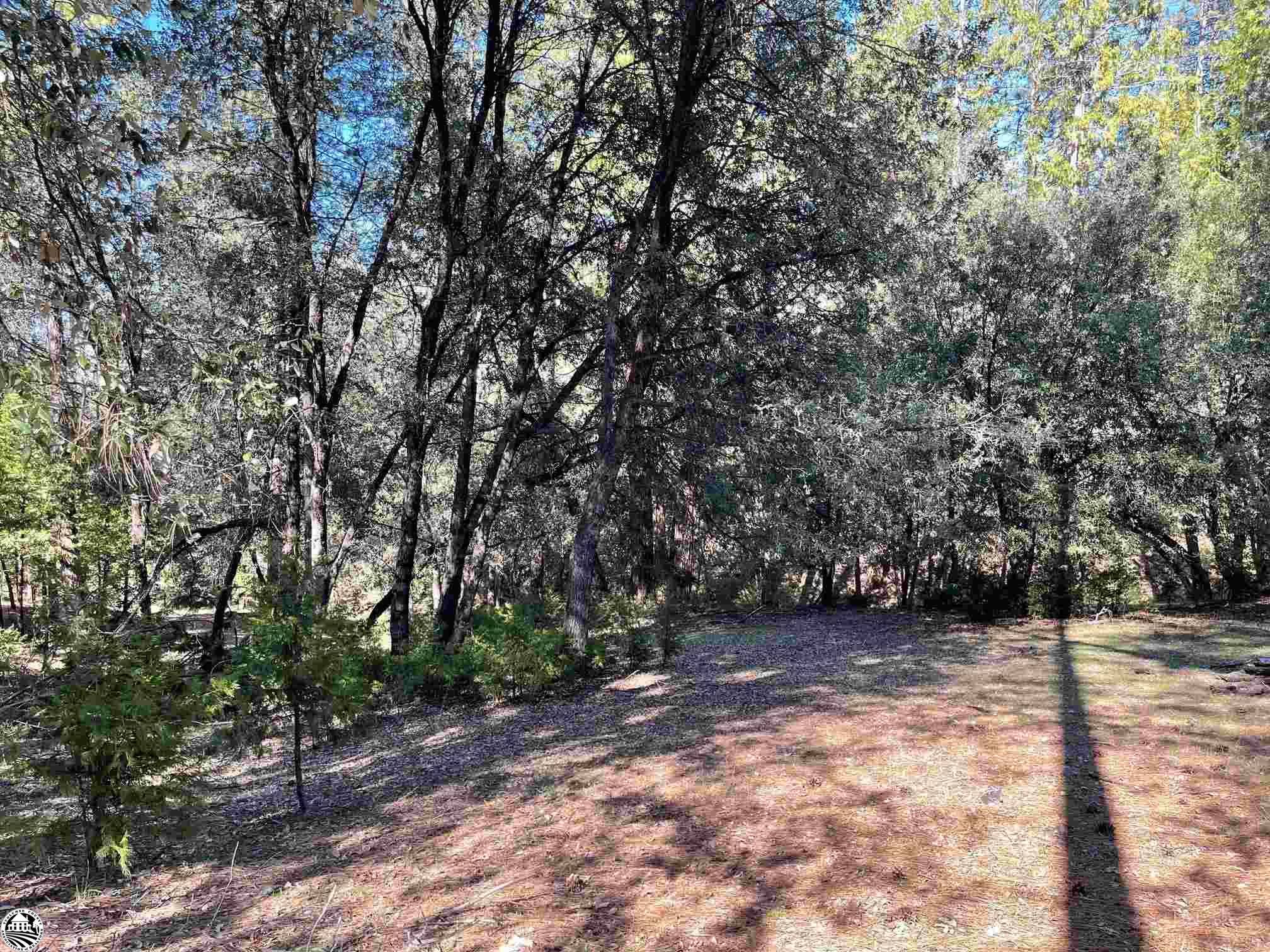 Groveland, CA 95321,12918 Pine Mountain Drive