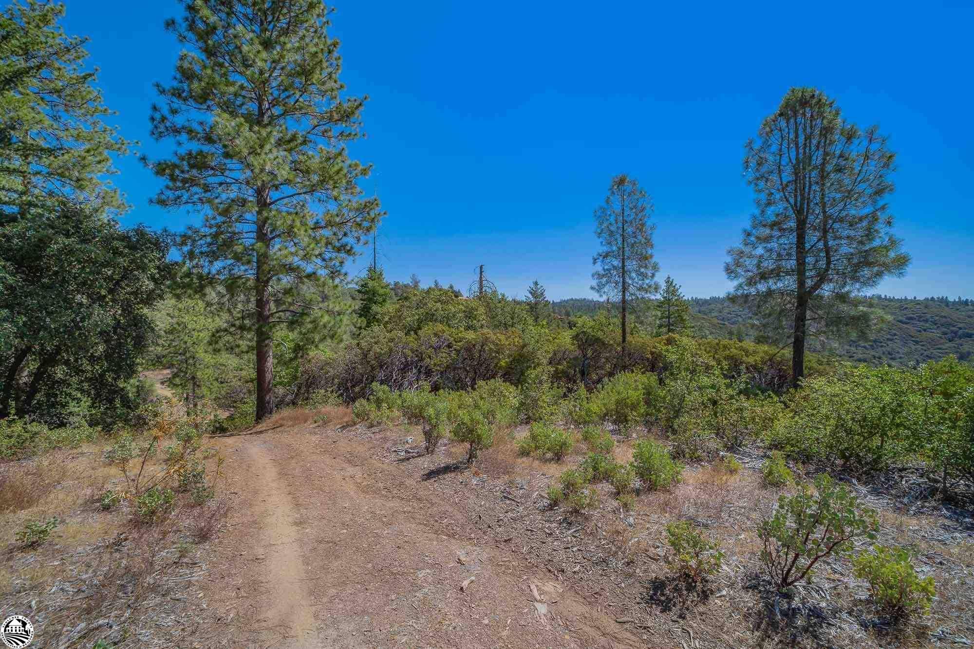 Big Oak Flat, CA 95305,0000 Harper Rd