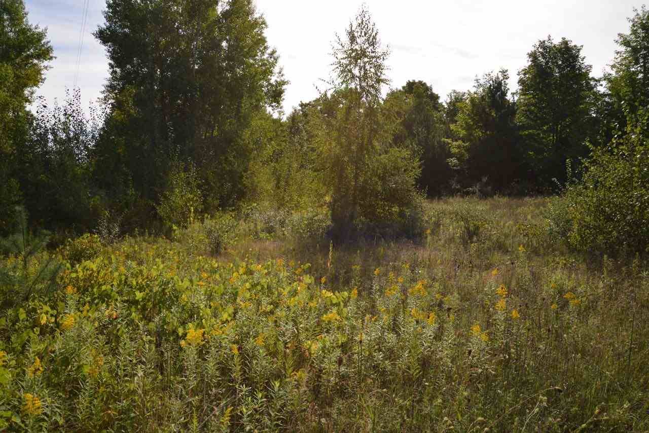 Rapid City, MI 49676,0 Torch Hills Lane