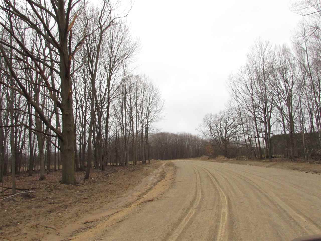 Mount Pleasant, MI 48858,2893 White Pine Drive