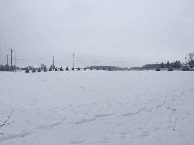 Mount Pleasant, MI 48858,4080-2 Whiteville