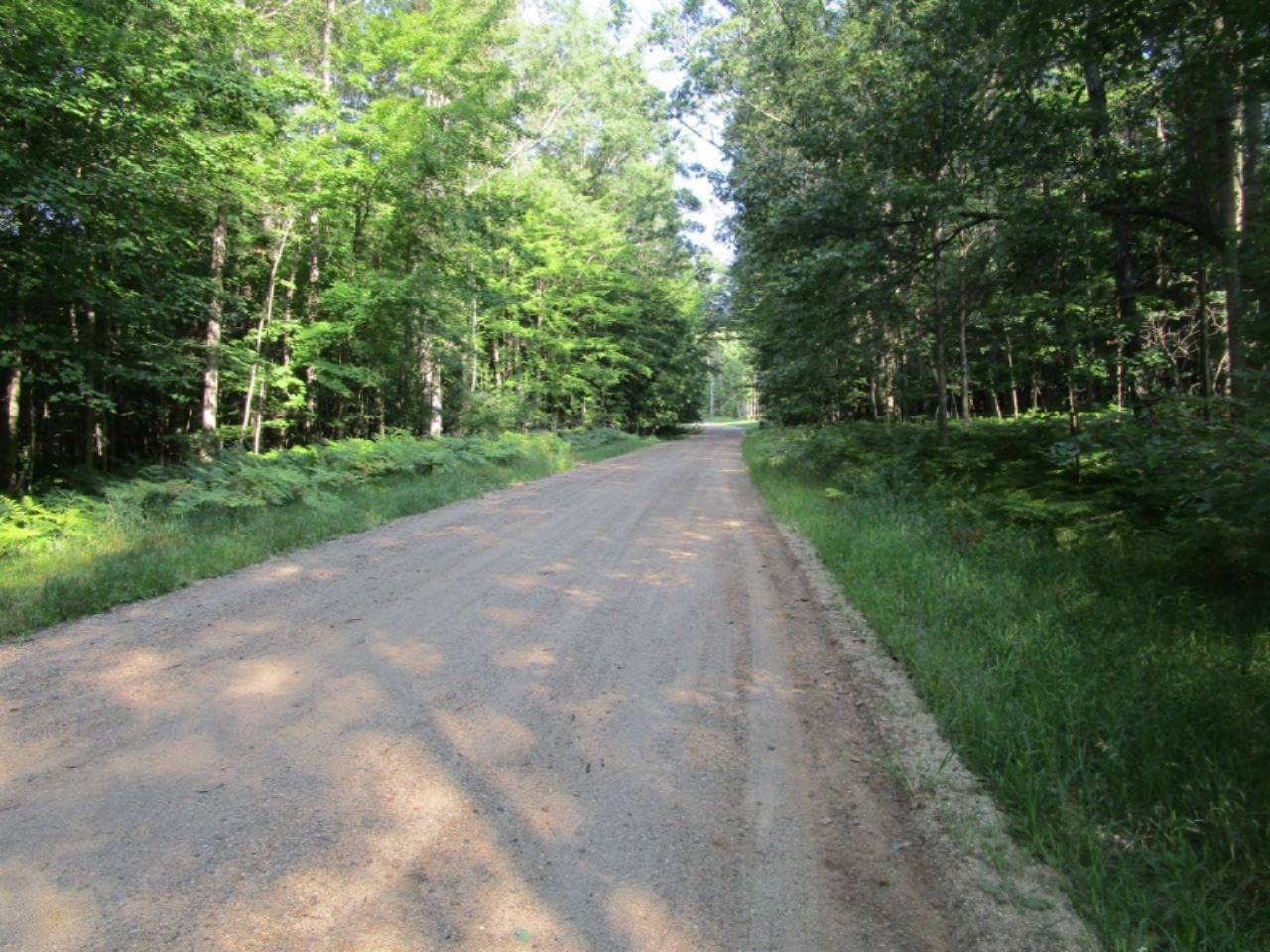 Canadian Lakes, MI 49346,8190 Tanglewood Trail