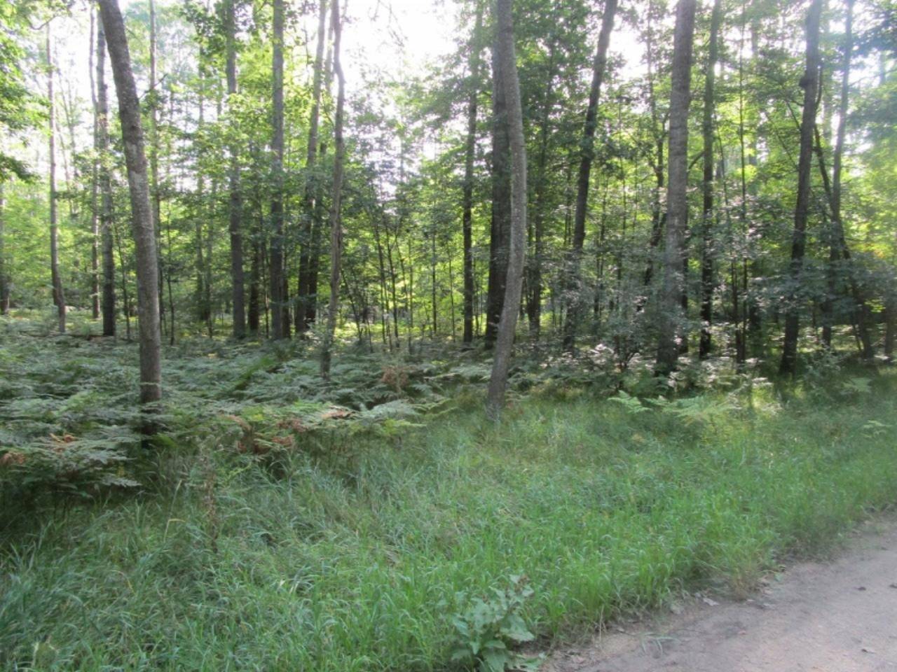 Canadian Lakes, MI 49346,8190 Tanglewood Trail