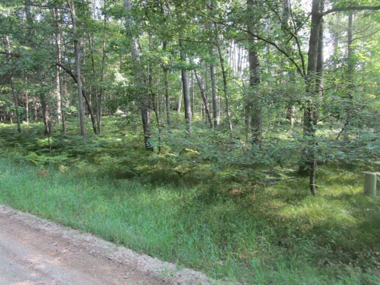 Canadian Lakes, MI 49346,8190 Tanglewood Trail