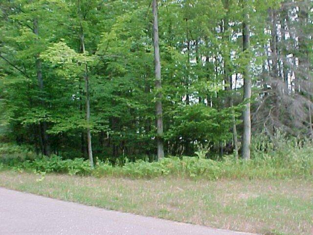 Canadian Lakes, MI 49346,9552 Fawn Lake Drive #4