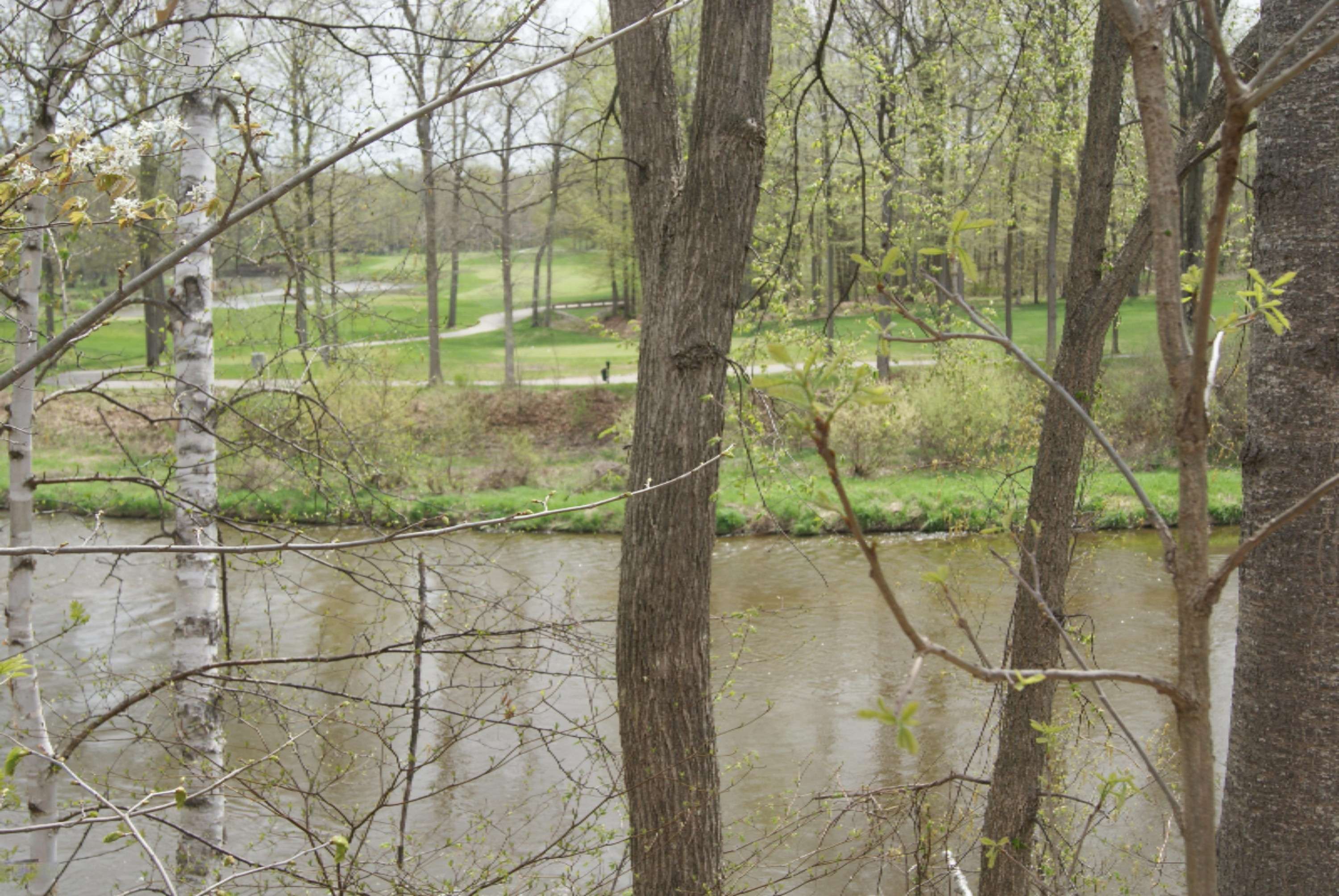 Mount Pleasant, MI 48858,Lot 9 Whitetail Trail