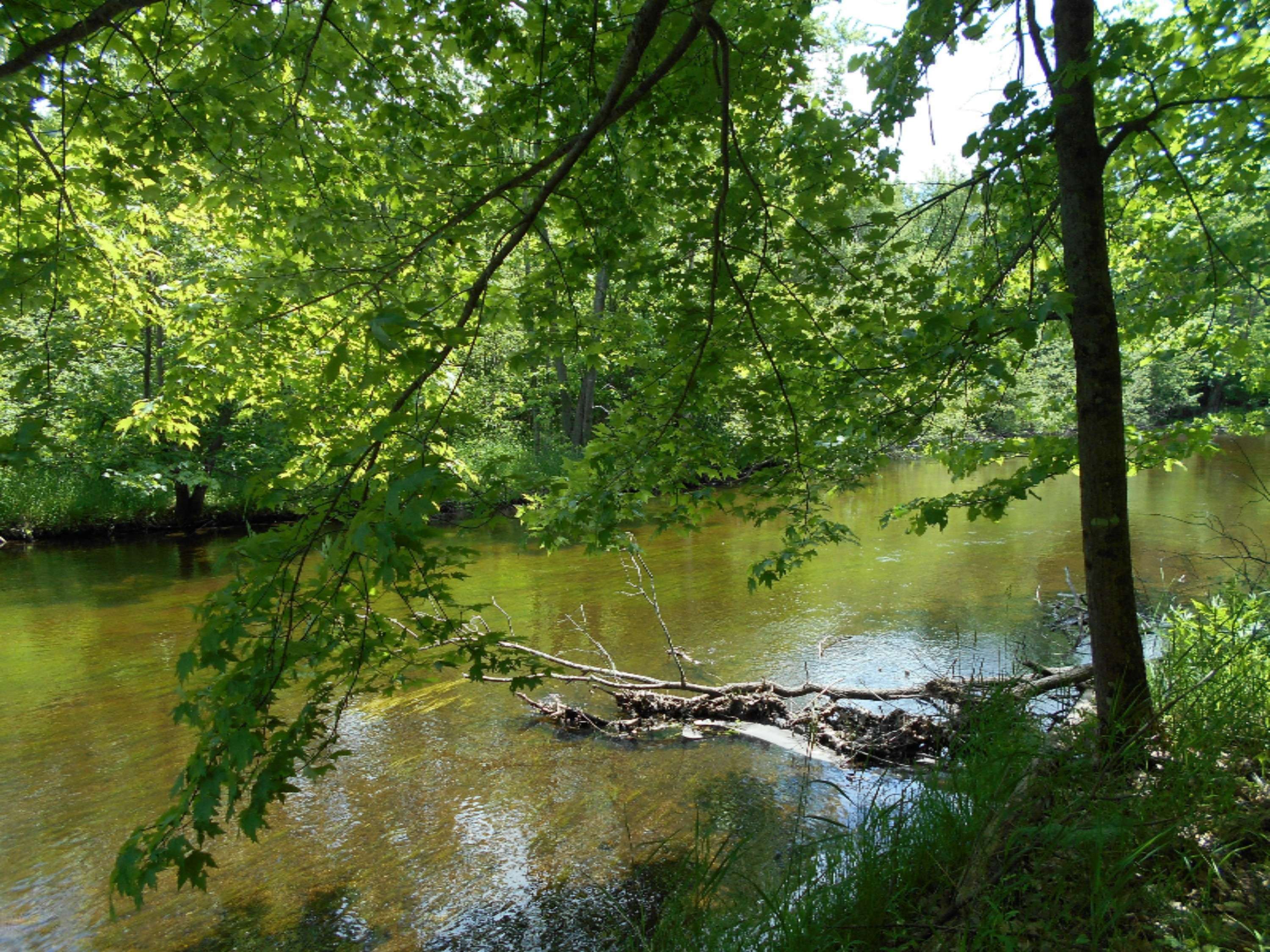 Canadian Lakes, MI 49346,6294 Abbey Lane