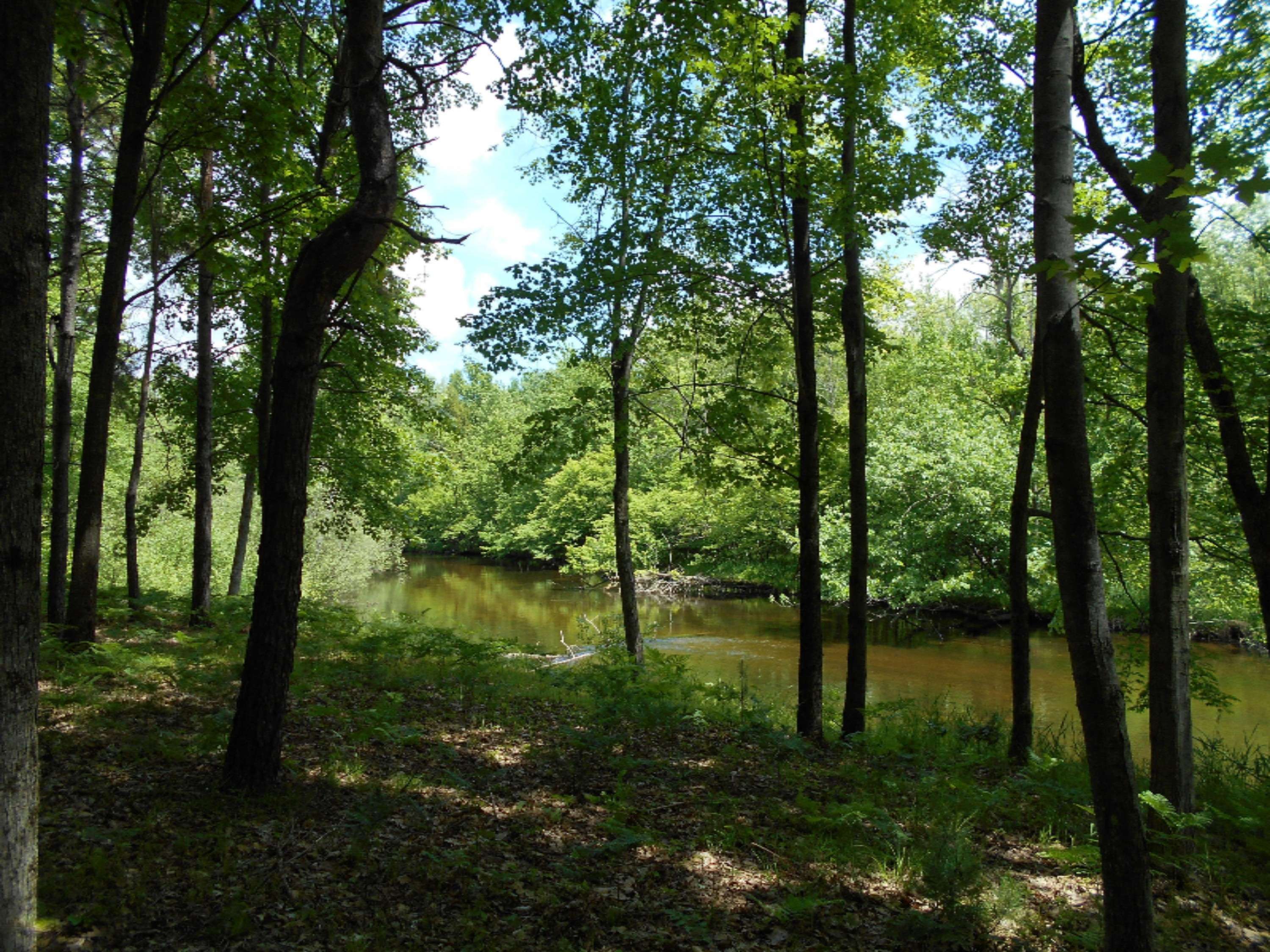 Canadian Lakes, MI 49346,6294 Abbey Lane