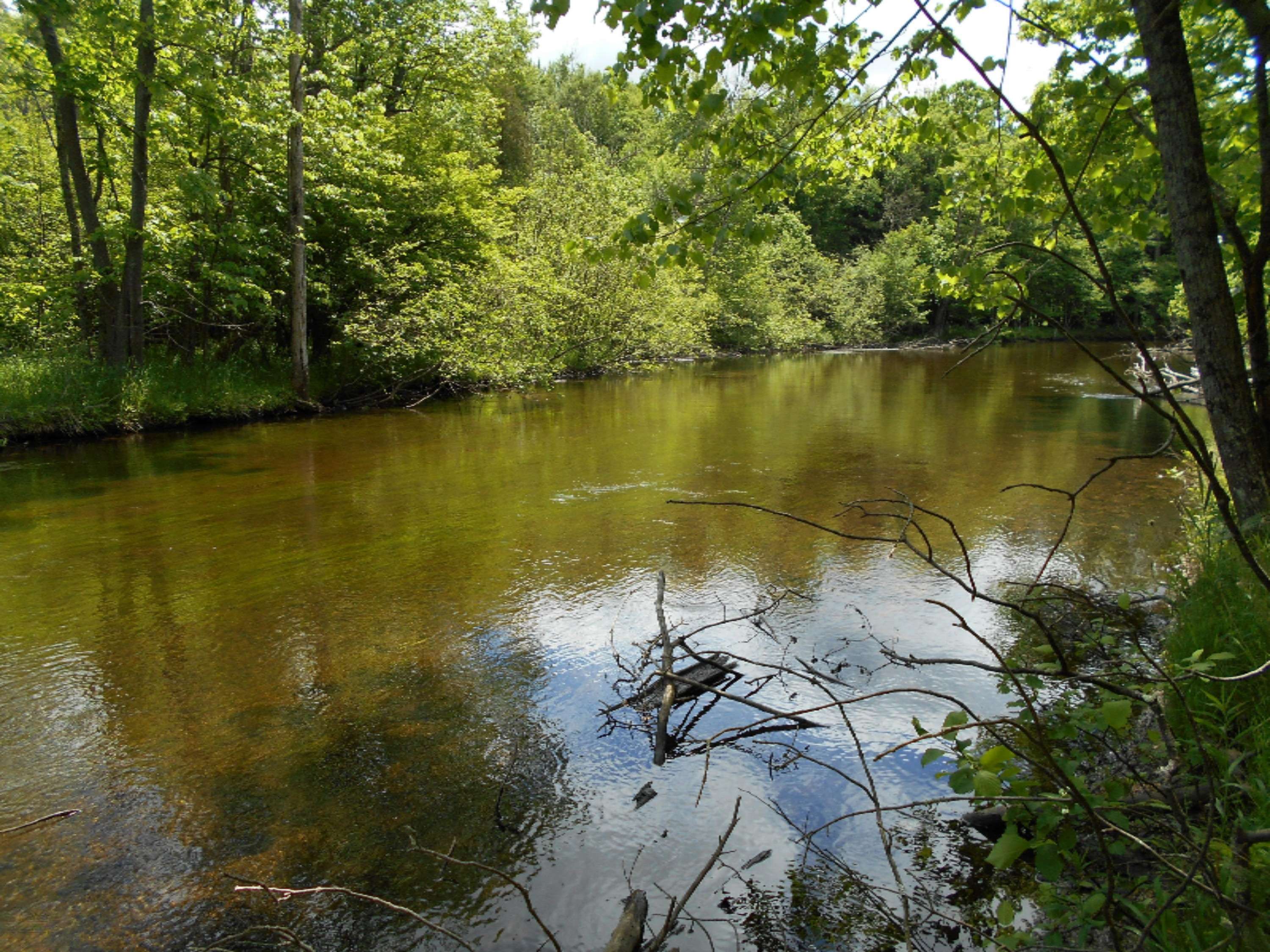 Canadian Lakes, MI 49346,6294 Abbey Lane