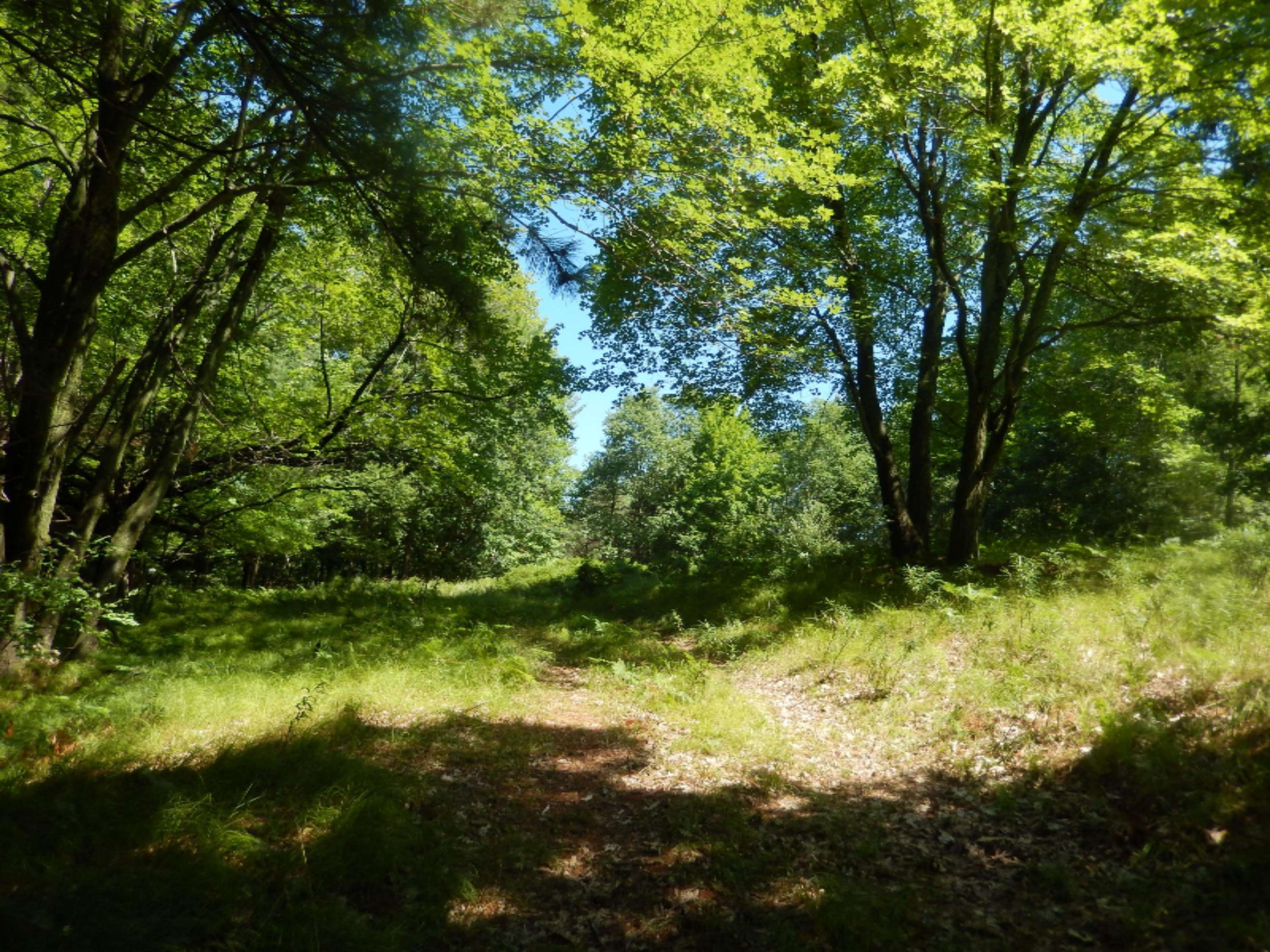 Canadian Lakes, MI 49346,11776 Cheyenne Wells Trail