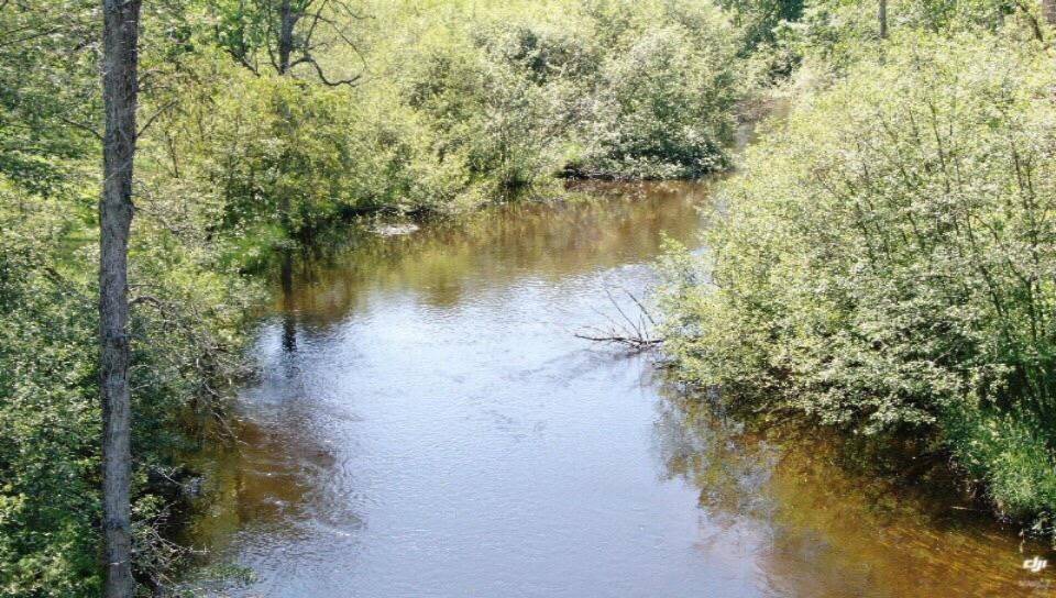 Canadian Lakes, MI 49346,6685 Cedar Trace #10