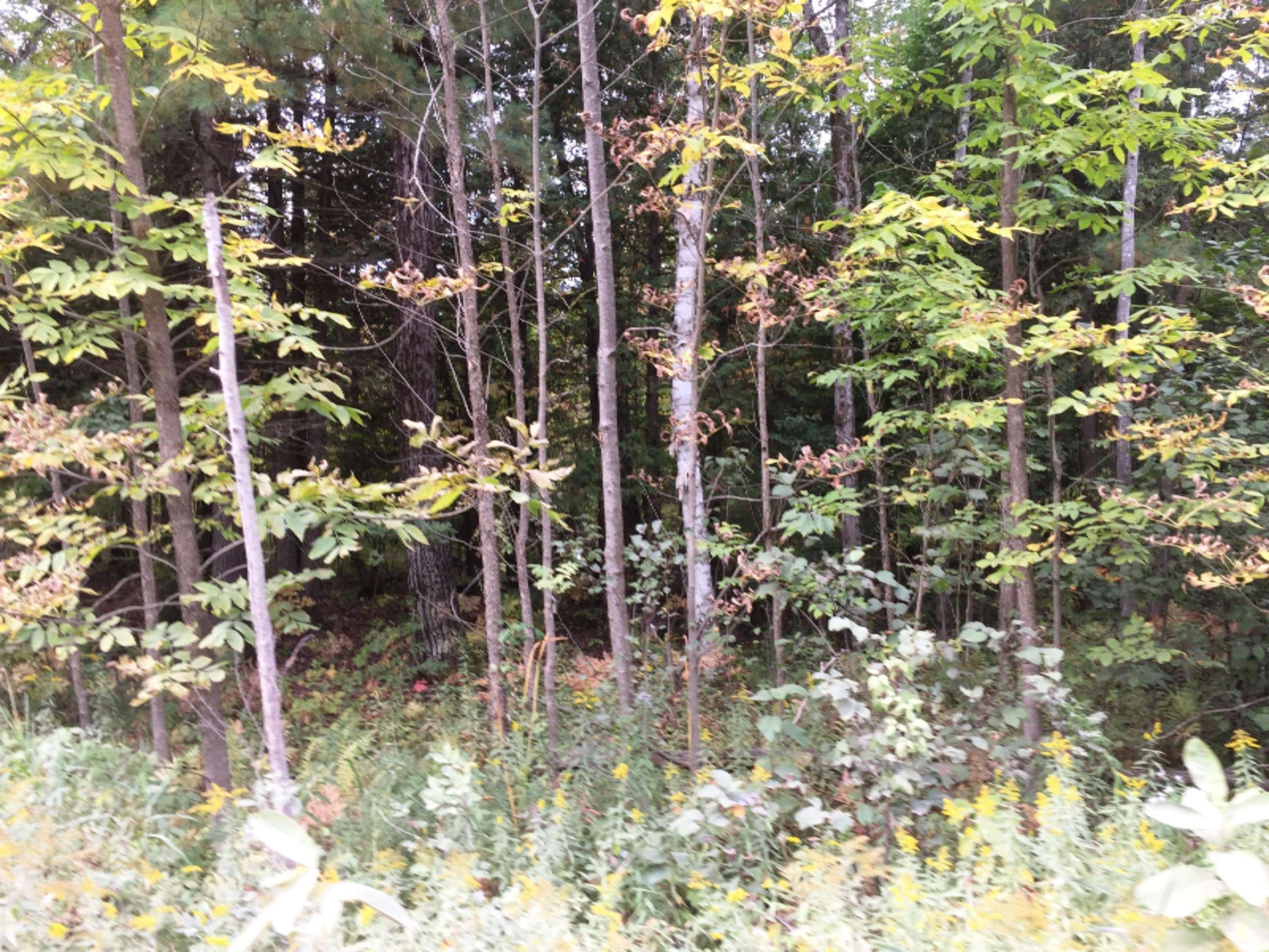 Reed City, MI 49677,00 Lakola Road #Lot 5