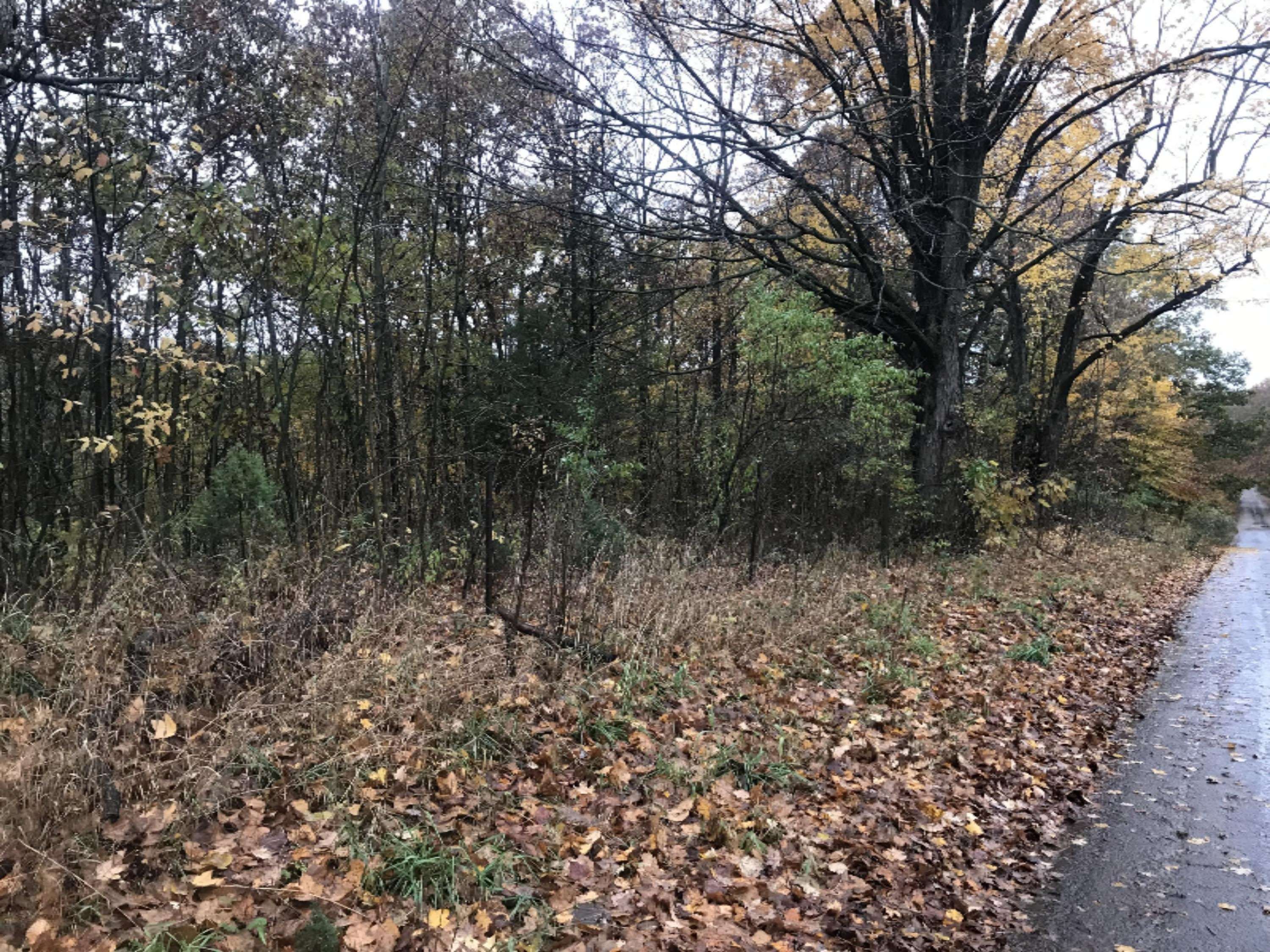 Middleville, MI 49333,Lot A Garbow Road