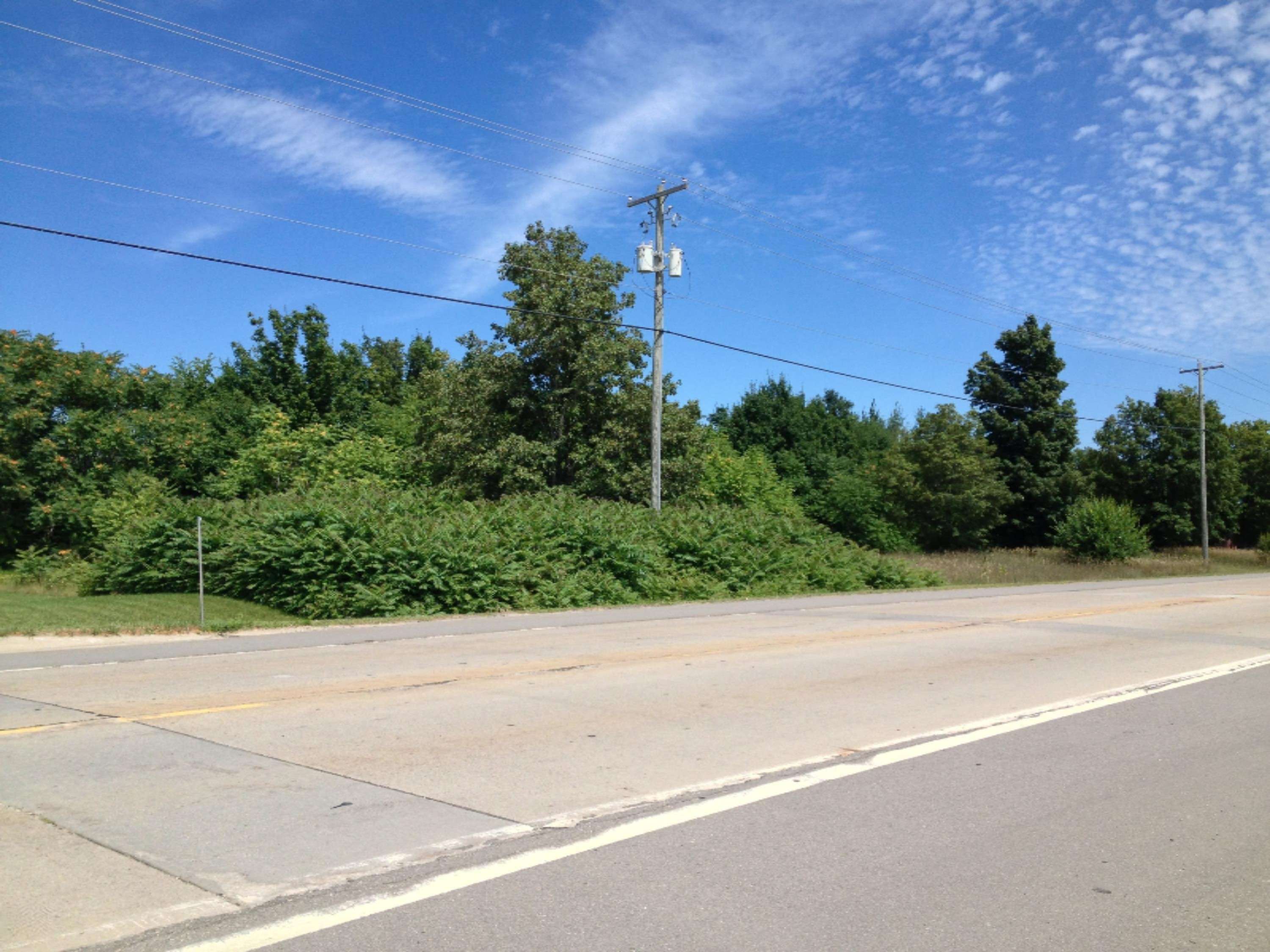 Hart, MI 49420,Lot 3 Polk Road