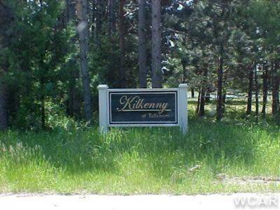 Canadian Lakes, MI 49346,6452 Kilkenny Drive #005