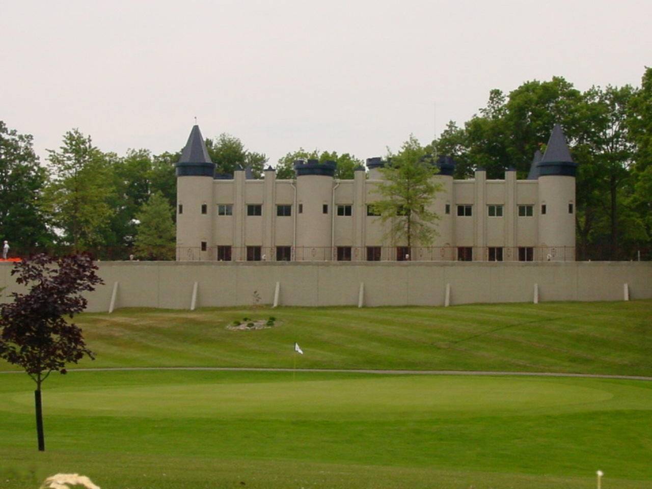 Canadian Lakes, MI 49346,6249 Abbey Lane