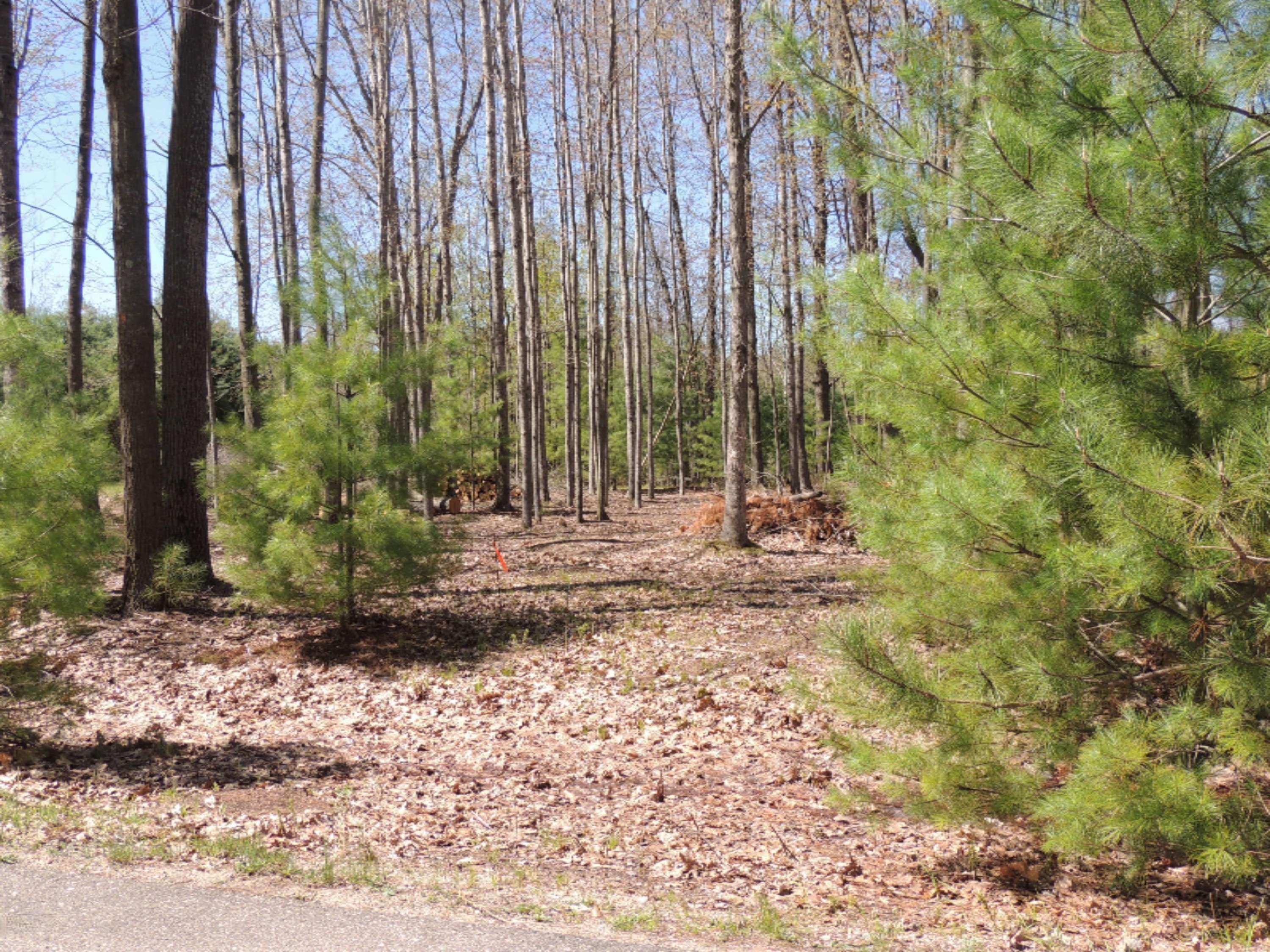 Canadian Lakes, MI 49346,6362 Cedar Drive