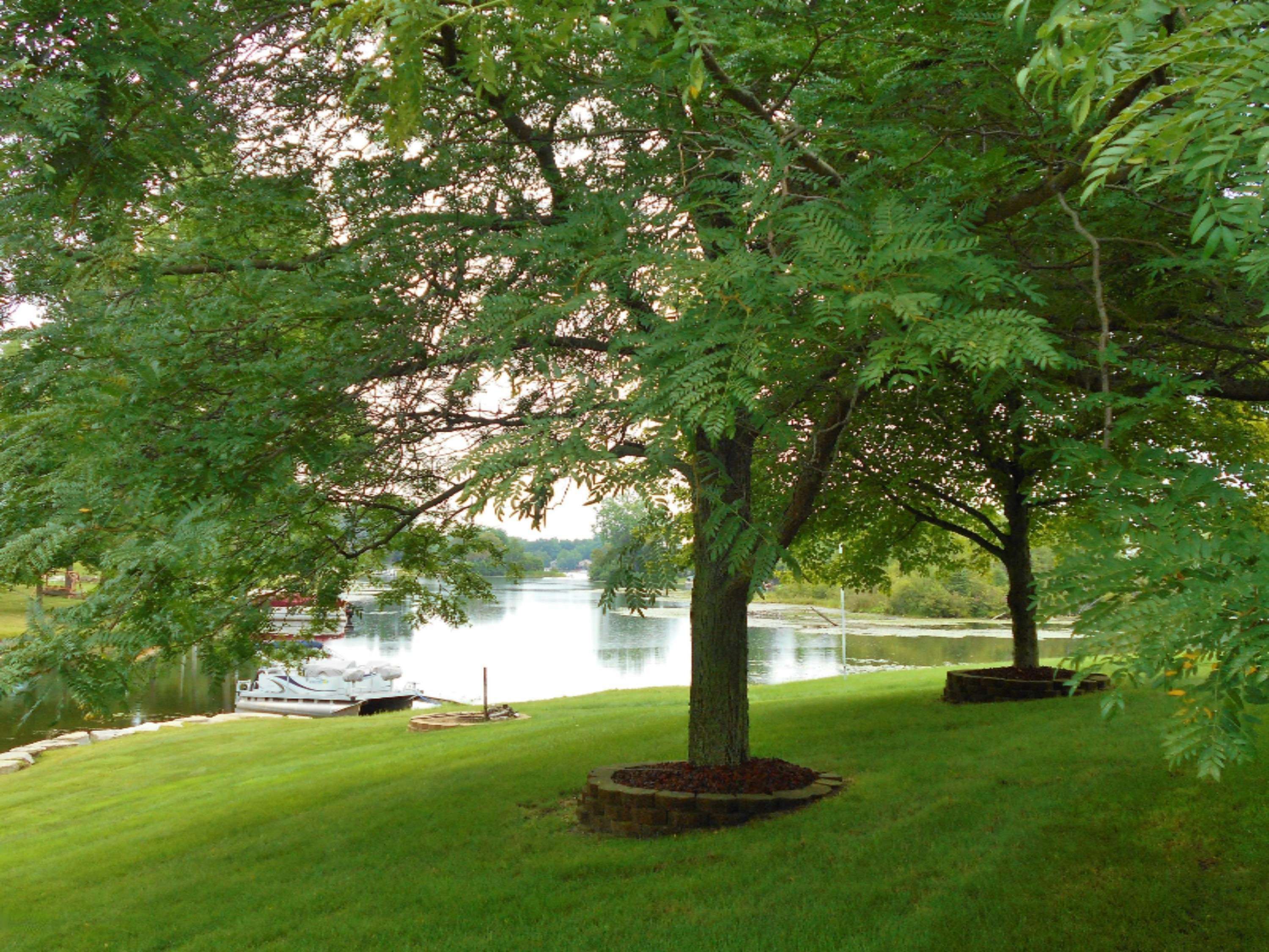 Canadian Lakes, MI 49346,11450 N Lookout Ridge