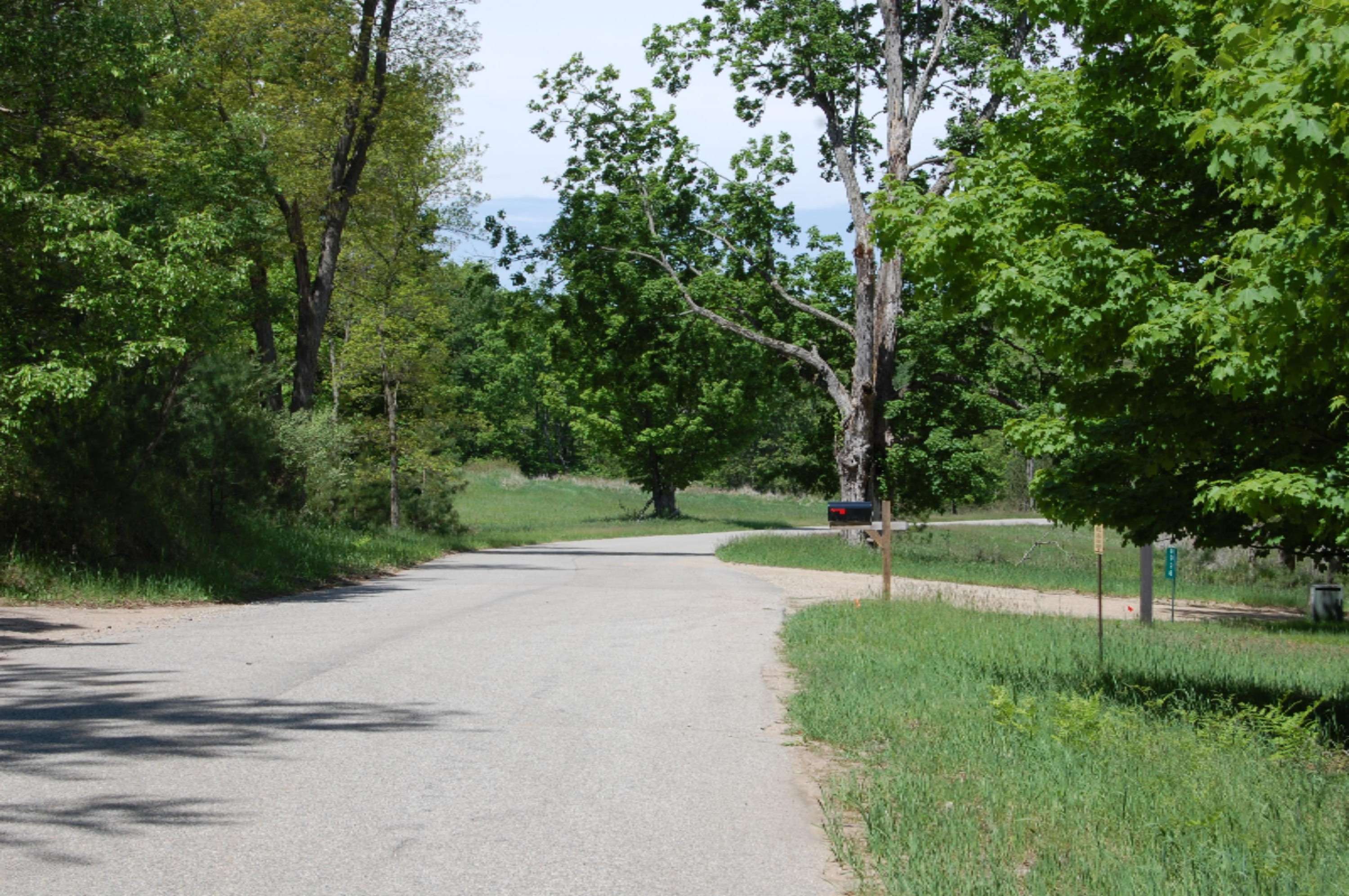 Canadian Lakes, MI 49346,9972 Fawn Lake Drive