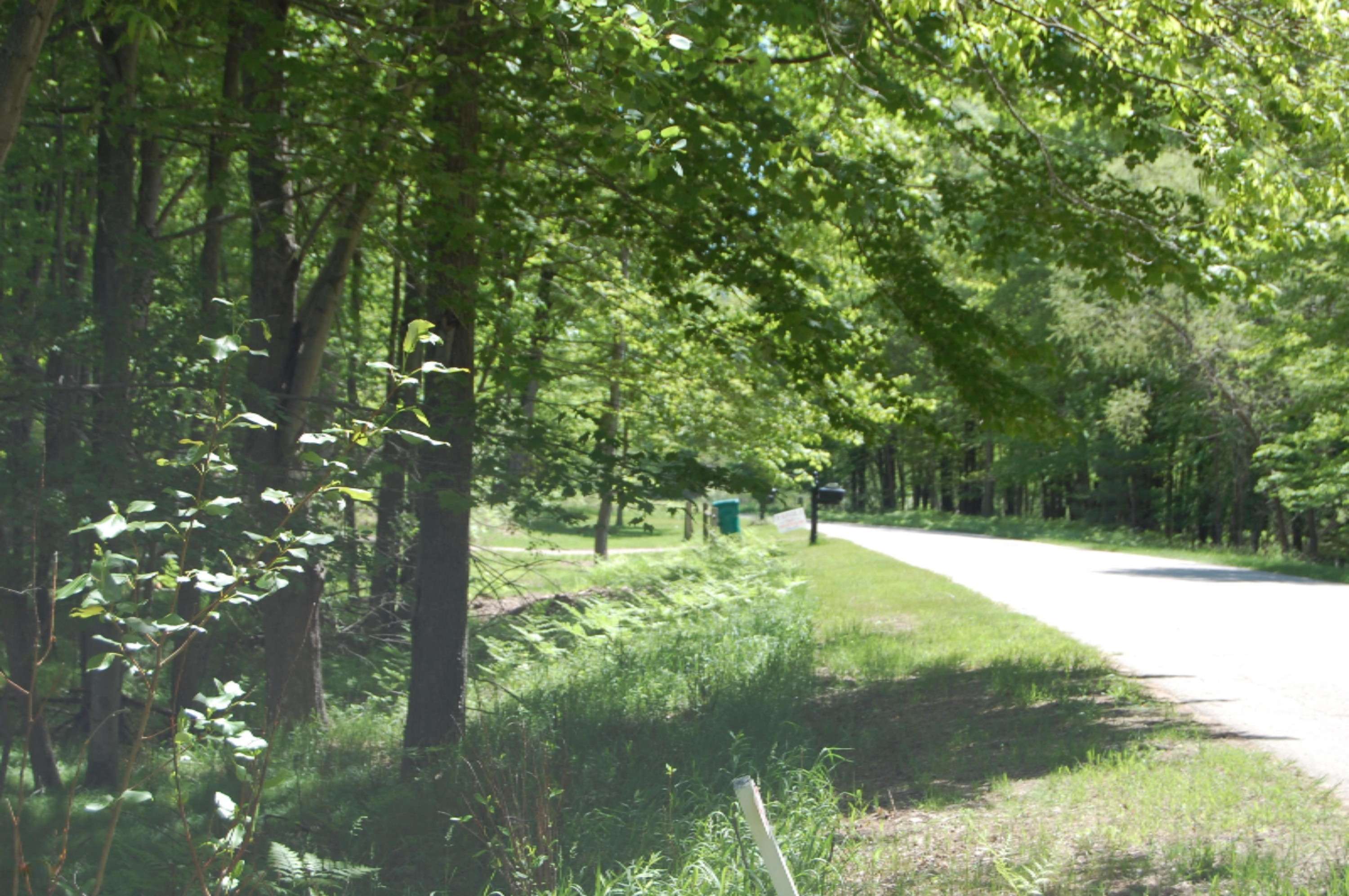 Canadian Lakes, MI 49346,9972 Fawn Lake Drive