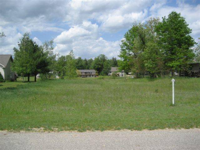 Canadian Lakes, MI 49346,8890 Edgewater Drive #Lot 393