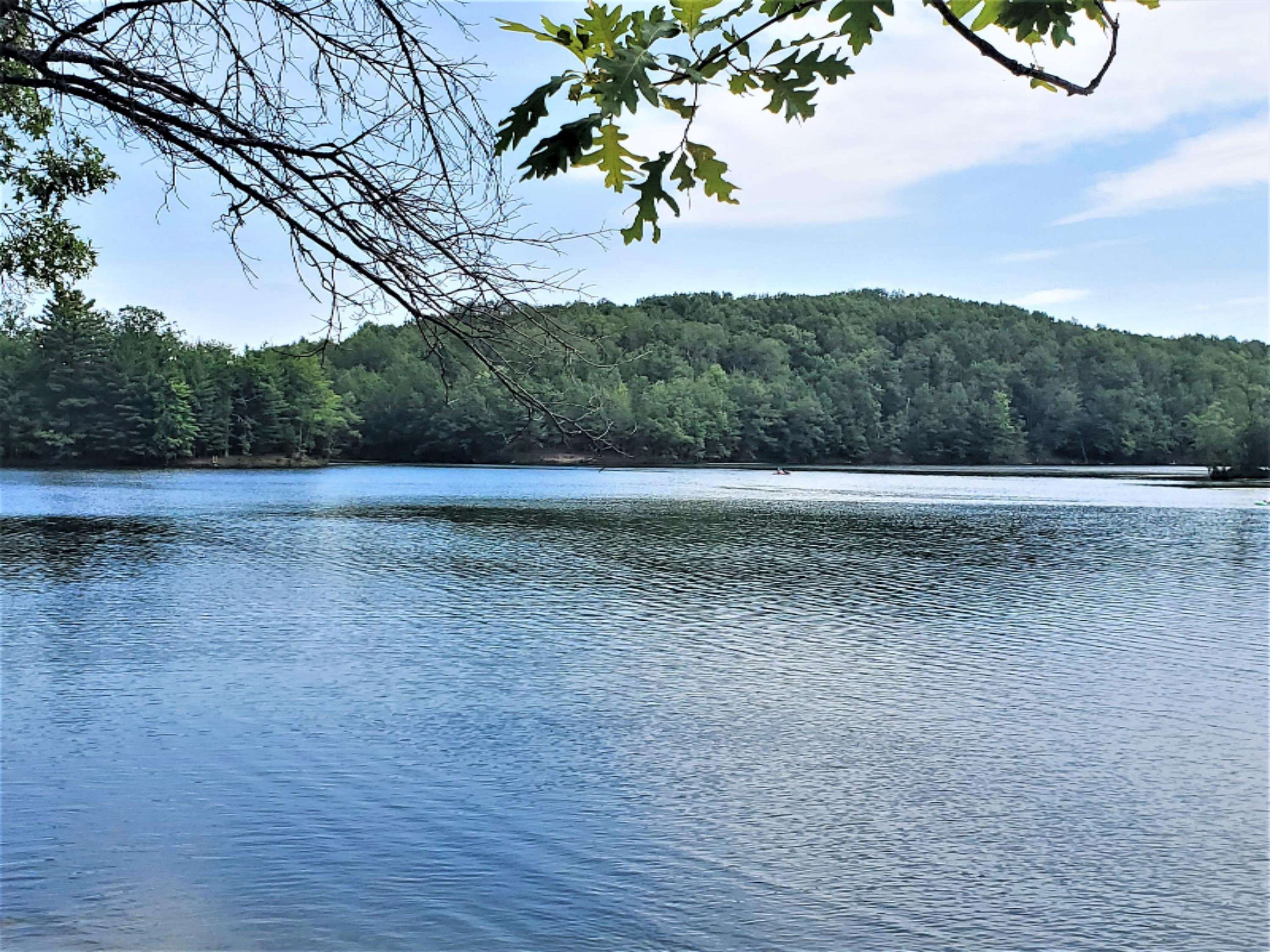 Canadian Lakes, MI 49346,12050 Victoria Drive