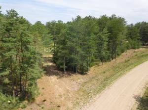 Hart, MI 49420,V/L W Pine Acres Trail