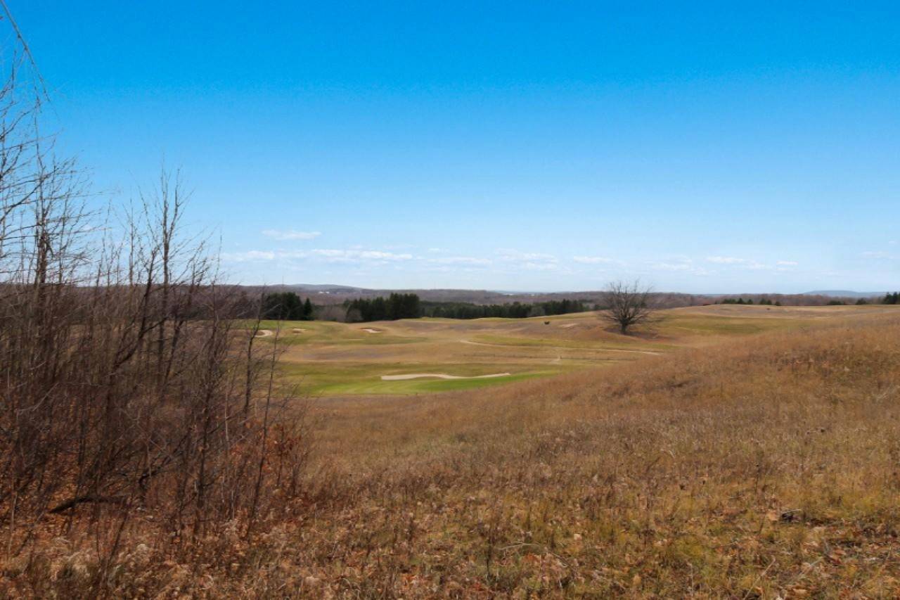 Beulah, MI 49617,Lot 15 Heather Ridge Trail