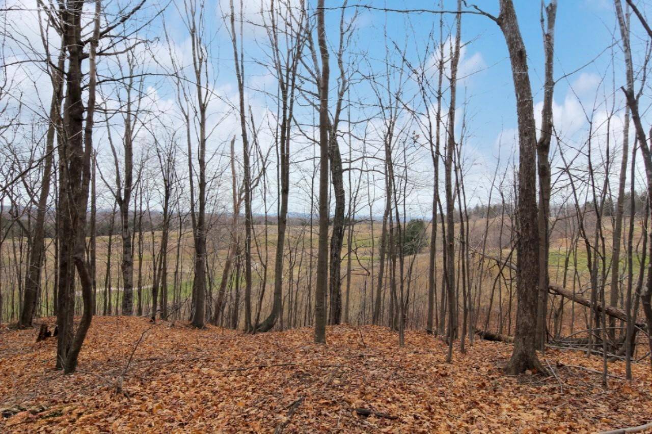 Beulah, MI 49617,Lot 15 Heather Ridge Trail