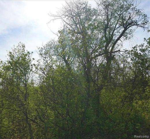 Lake Orion, MI 48362,0000 S Lapeer Road