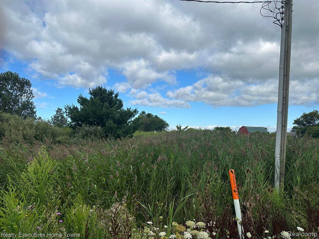 MI 48032,003 WILDCAT Road