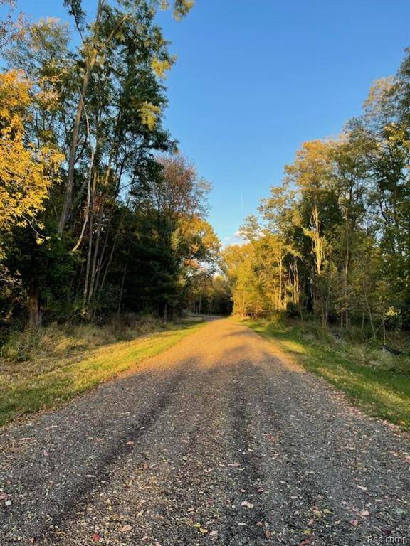 Whitmore Lake, MI 48189,11663 Colangelo Lane