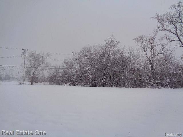 Detroit, MI 48207,1043 CANTON Street