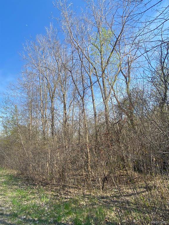 Oxford, MI 48371,00 Sandstone Drive