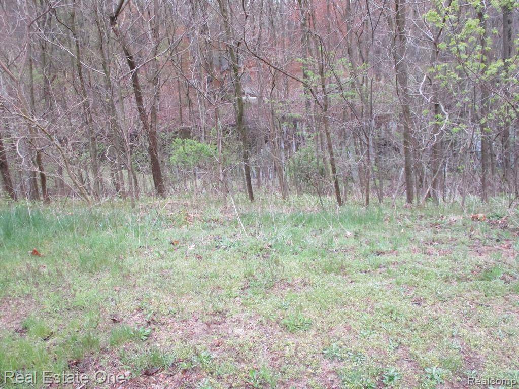 Holly, MI 48442,16363 CATALPA RIDGE Drive